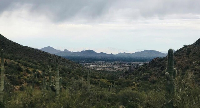 A picture of downtown Phoenix from atop a mountain