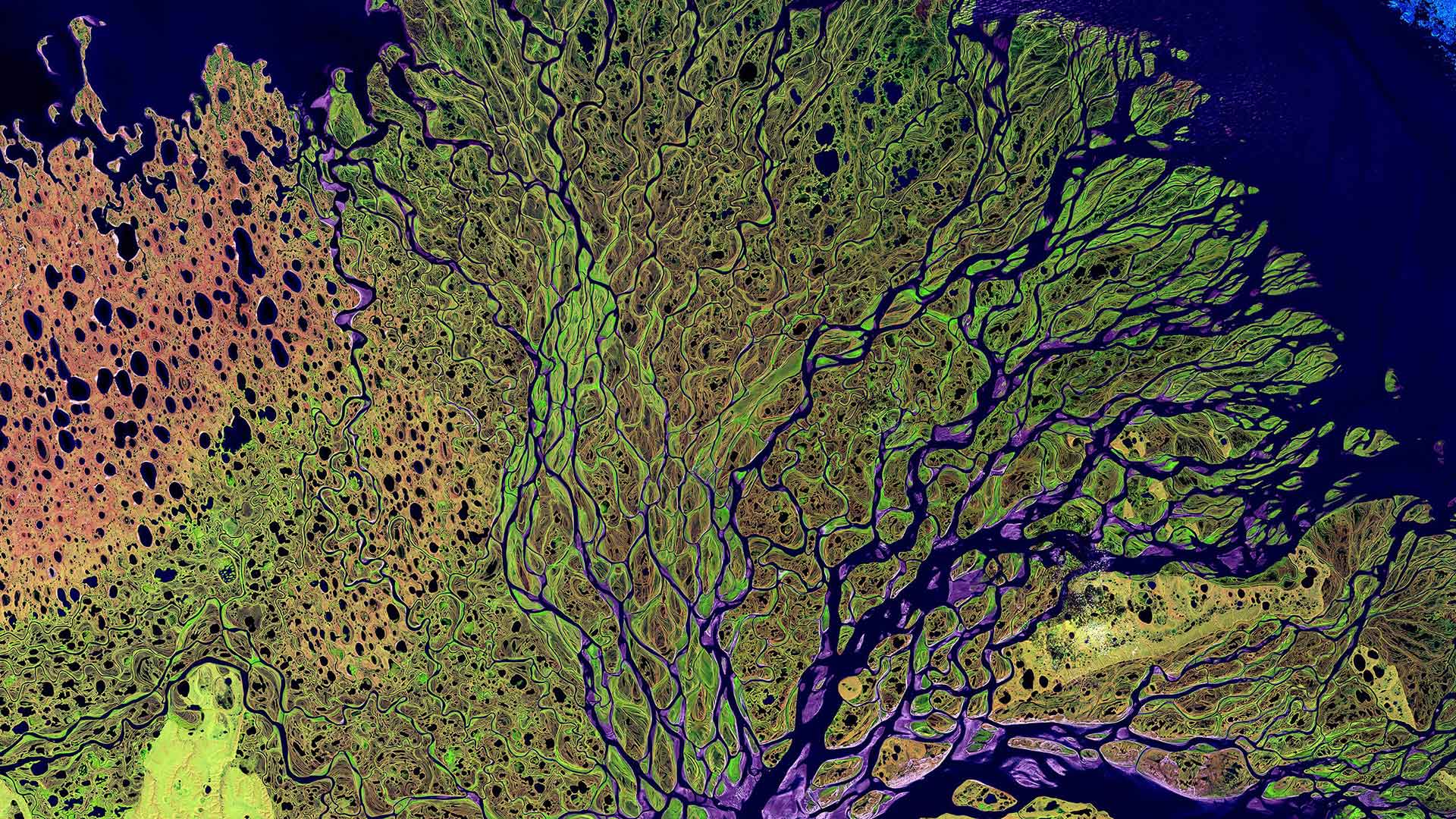 
		View from space of the Lena river delta.		