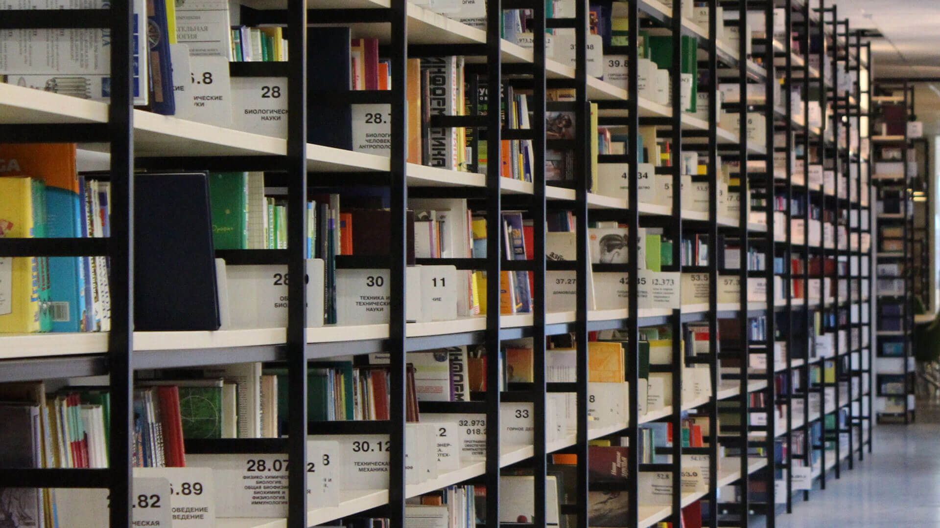 
		Shelves in a library		