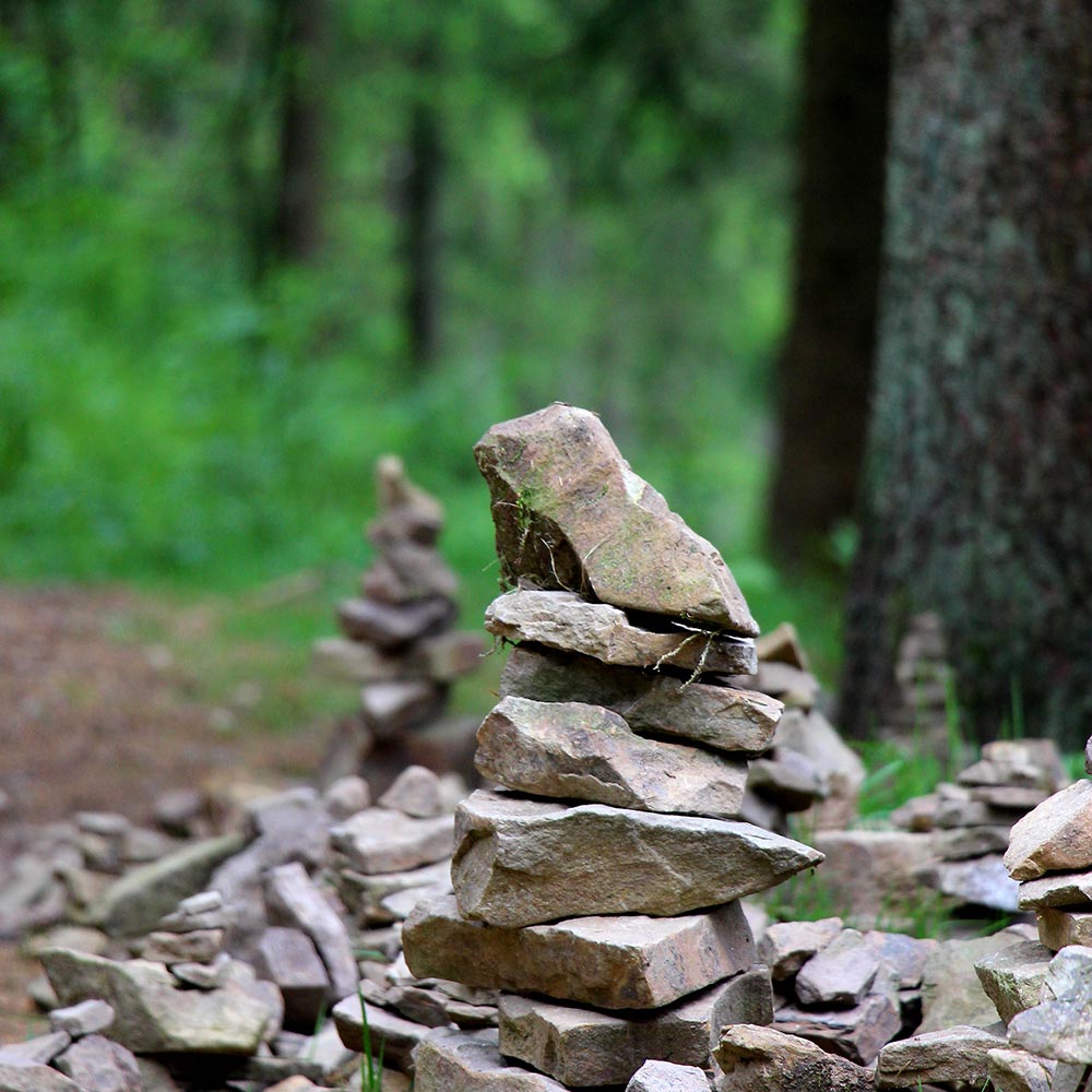 A cairn in the forrest